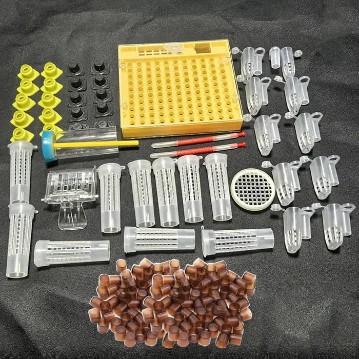 1 ensemble abeille reine élevage roi nouveau plastique couleur marron/vert cellules Cages chambre tasses cellule Cage