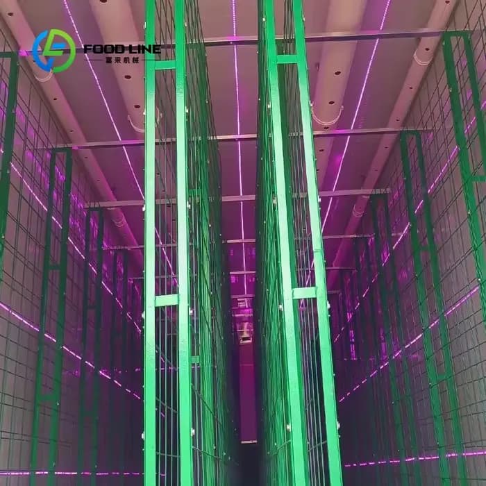 Serre conteneurisée haute performance de 40 pieds, climat contrôlé, pour la culture hydroponique de légumes-feuilles en usine