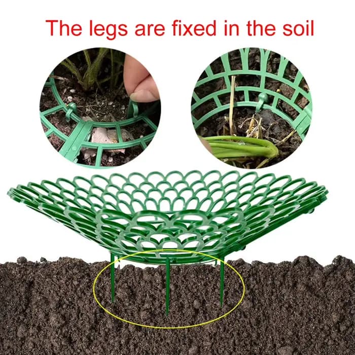 Supports de fraises avec 3 pieds de Support robustes, pour conserver les plantes et les fruits, supp