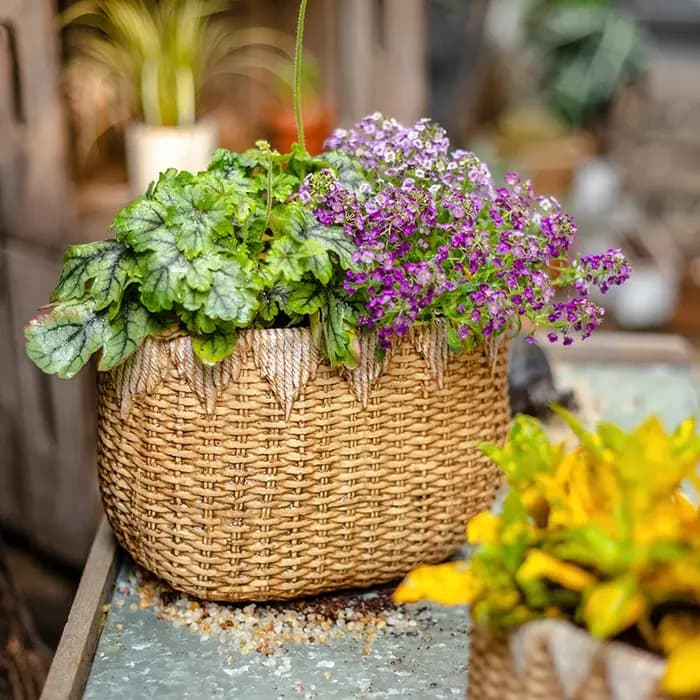 Pot de fleur en rotin tissé rustique, jardinière décorative de bureau en ciment, conteneur de plantes de jardin de balcon, conception de Faux Drainage