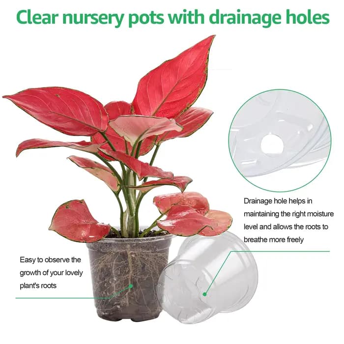 Pots de pépinière transparents de 3.5/4/5 pouces, jardinière en plastique Transparent avec trous de