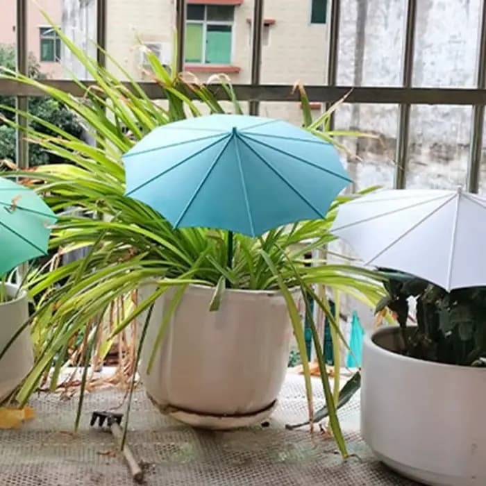Lot 5 auvents d'ombrage fins pour plantes, pour matelas fleurs buissons en pot, Plan d'organisation rapide B03E