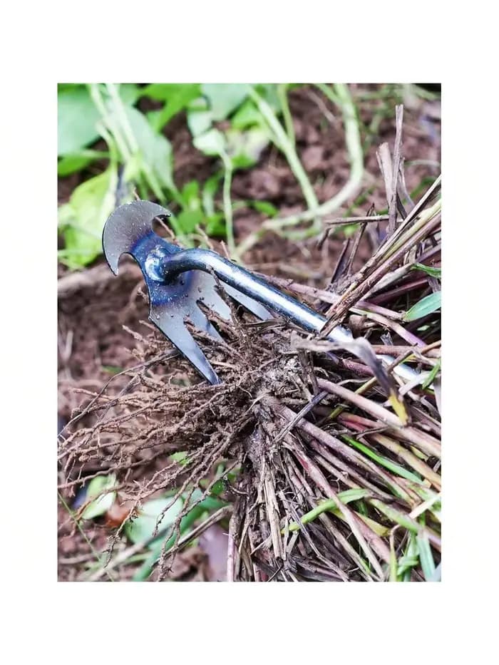 Désherbeur manuel multifonctionnel à 4 dents pour jardin