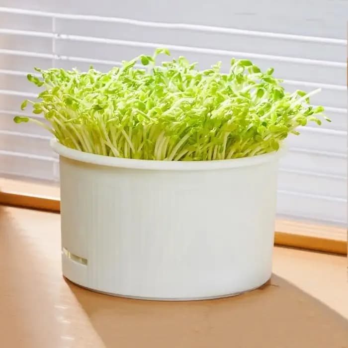 Pots de culture de pousses de légumes en plastique, structure ventilée et divisée, germeur de pousses sain, empilable, non toxique