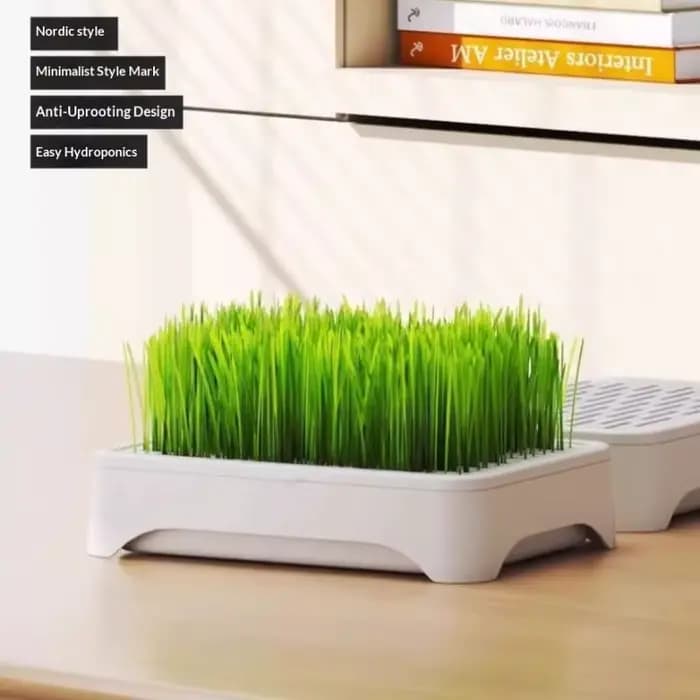 ㈅ Bac de culture hydroponique pour herbe à chat, pot de semis de blé sans terre, dispositif hydroponique pour herbe pour chatons, pot de culture horticole