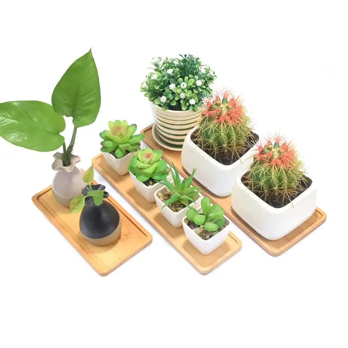 Soucoupes rectangulaires pour plantes en bambou