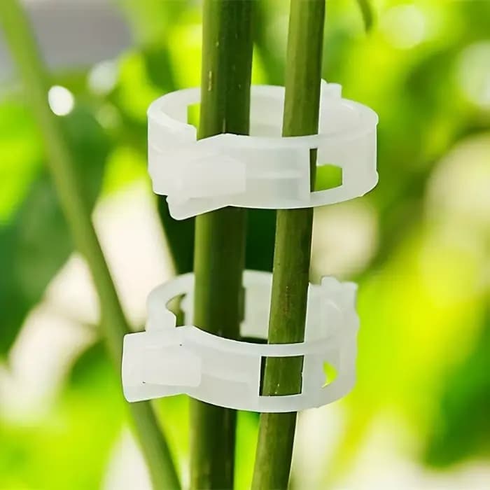 50 pièces - Tomates et plantes grimpantes - Outils durables et résistants aux intempéries pour l'entraînement et l'assistance.