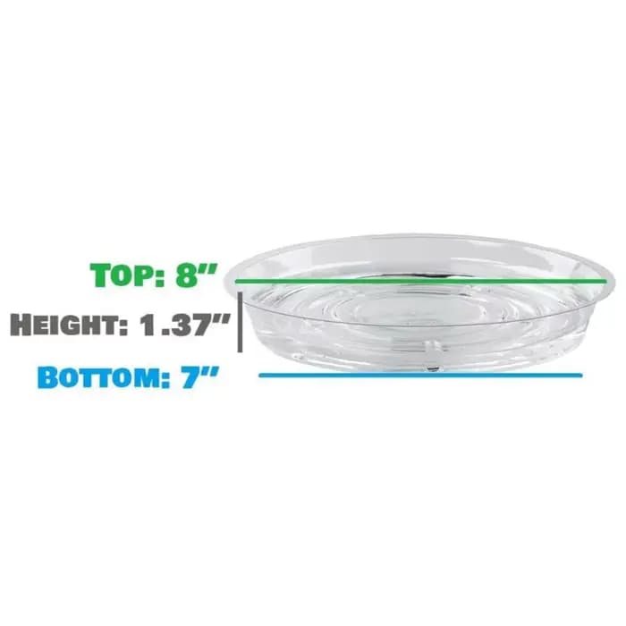 Plateau d'égouttage pour plantes de jardin, 10 pièces, Base ronde pour Pot, récipient de collation T