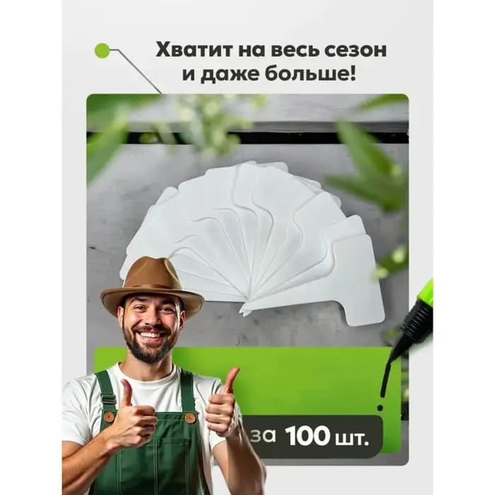 Étiquettes pour plantes de jardin BSEVB (100 pièces) - Idéales pour les semis