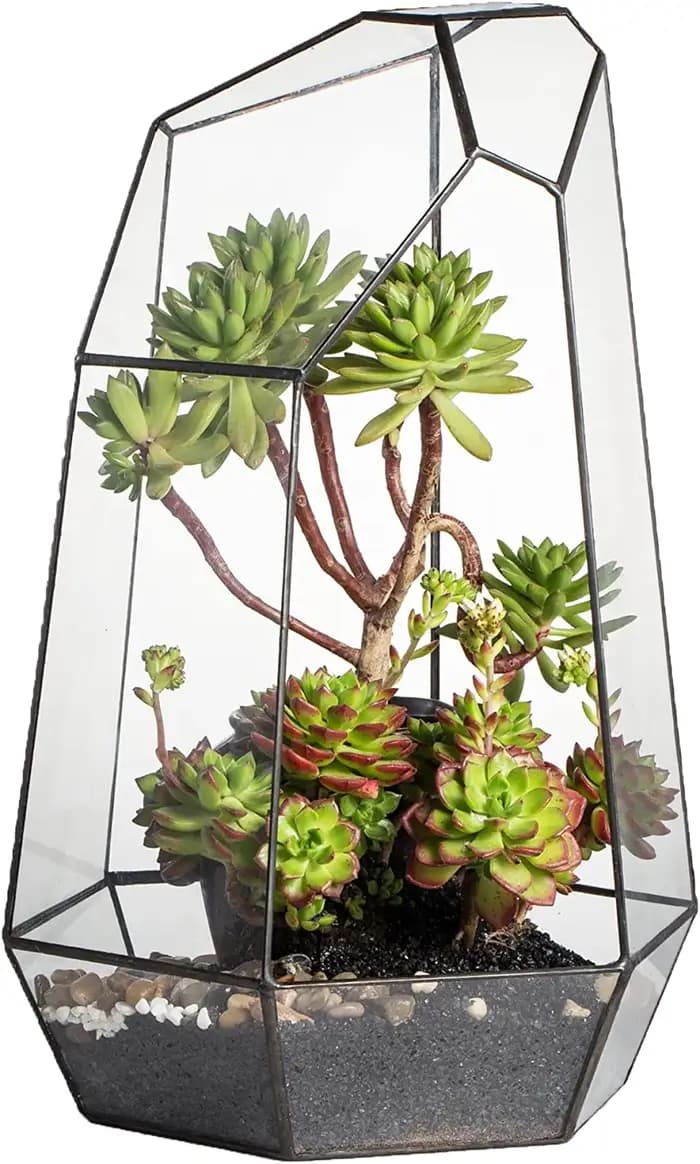 Jardinière en verre pour décoration de jardin de maison