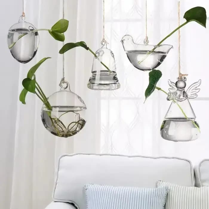 Vase en verre suspendu hydroponique
