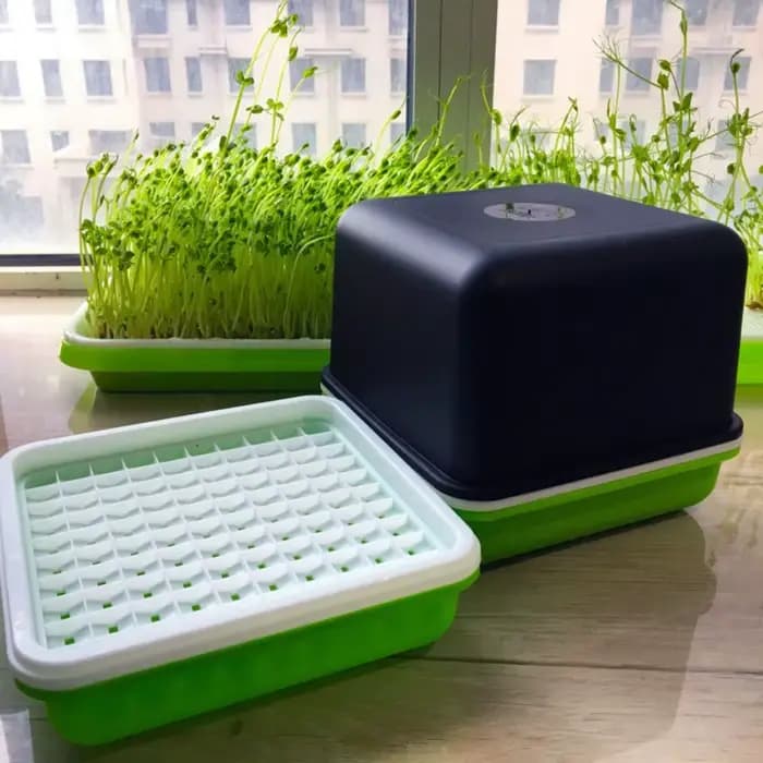 Plante hydroponique d'arachide, culture d'eau sans sol, fournitures de jardin, plateau de semis, boîte de plantation de germes, Pot de plantation de germes