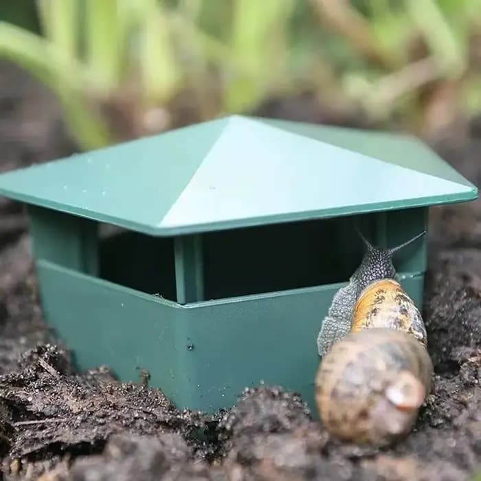Piège à escargots en plastique réutilisable, 10/1 pièces, outils de Station d'appâts, Cage à limaces