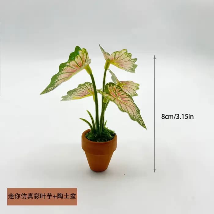 Mini plantes en pot vertes à dos de tortue Taro