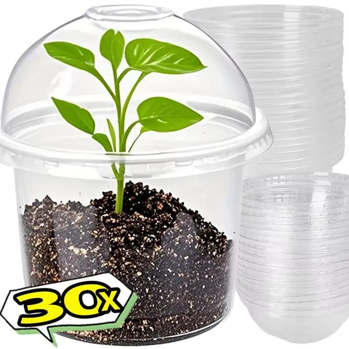 Pots de pépinière transparents avec couvercles