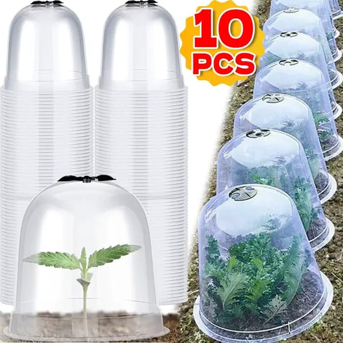 Mini cloches de serre en plastique réutilisables