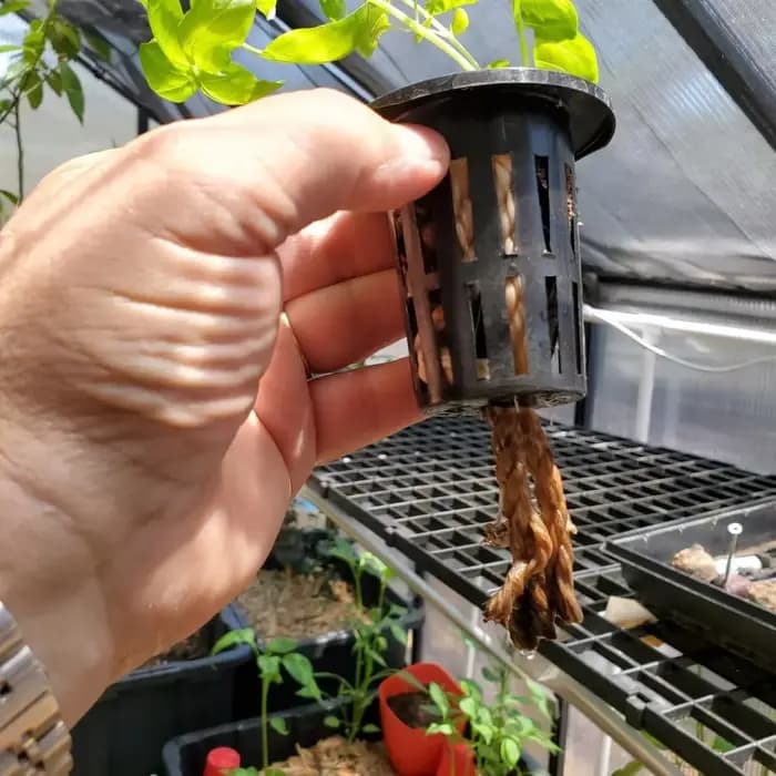 Mir pour plantes hydroponiques aquaponiques et orchidées, filet standardisé, filet à mailles fendues