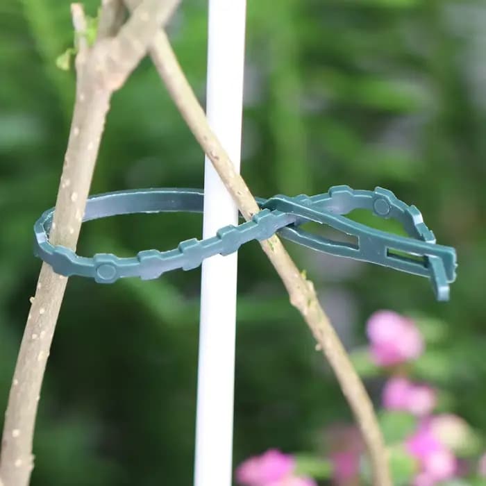 Attaches de câble réglables en plastique pour plantes, 11/13/17/23cm, fixation d'arbustes réutilisab
