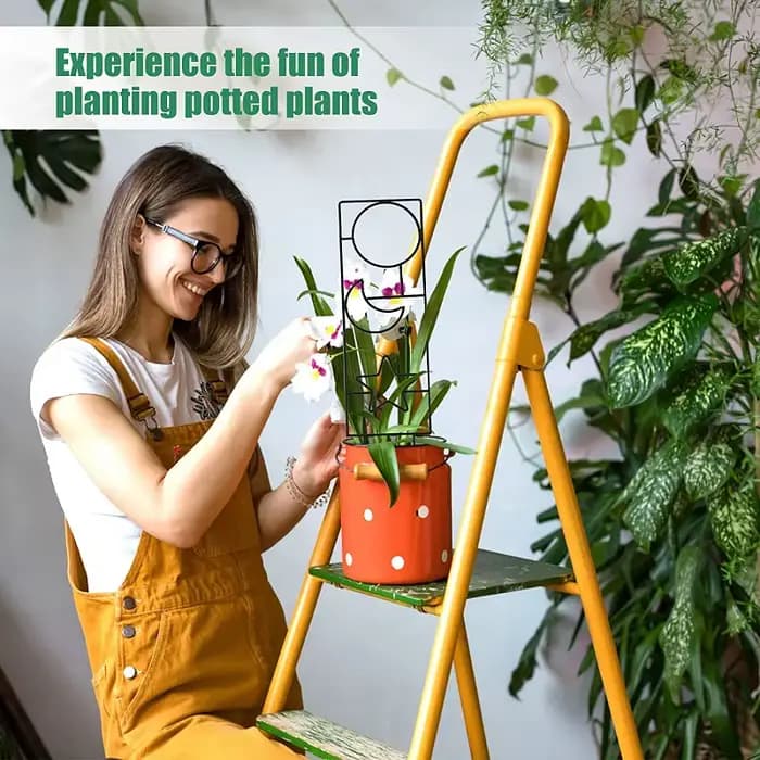 Cadre d'escalade en métal pour plantes, feuilles de fleurs, anciers de support en fer, pot de plante
