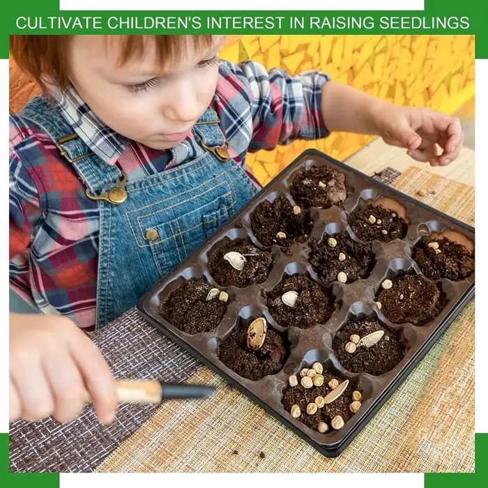 Plateaux de culture carrés en plastique pour graines de jardin, 27x27cm, 6 pièces, sans trous de vid