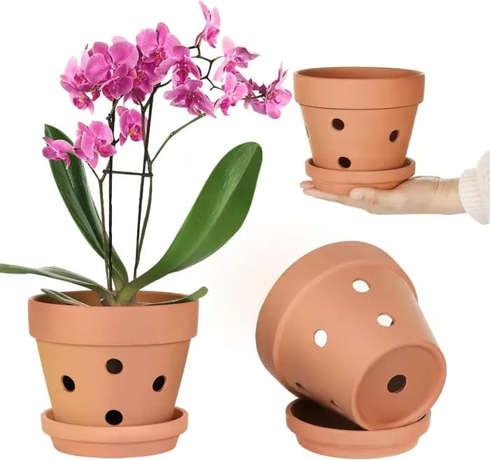 Pots d'orchidées en terre cuite de 4 pouces