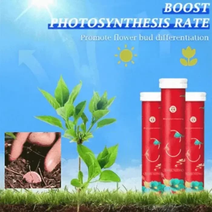Tablette universelle à libération lente pour jardinage domestique, navigateur organique pour plantes
