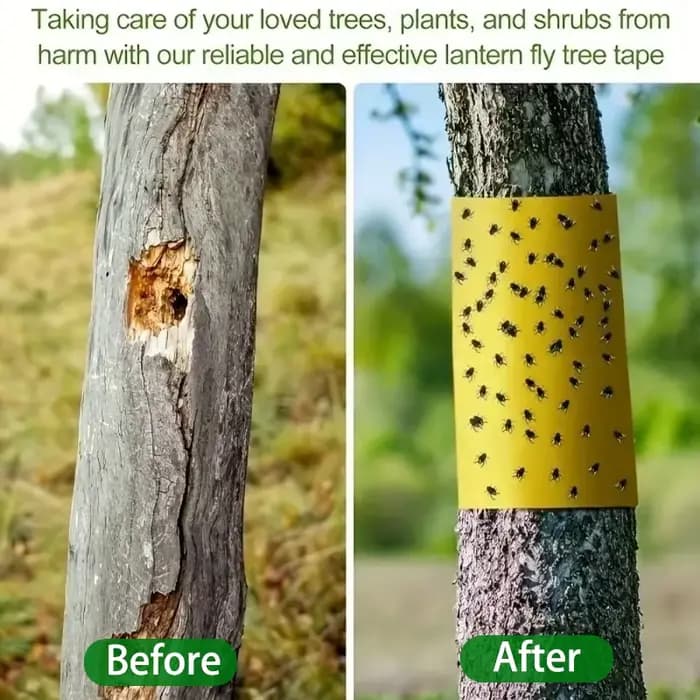 Bande adhésive Double face pour barrière contre les insectes, piège collant jaune étanche efficace c
