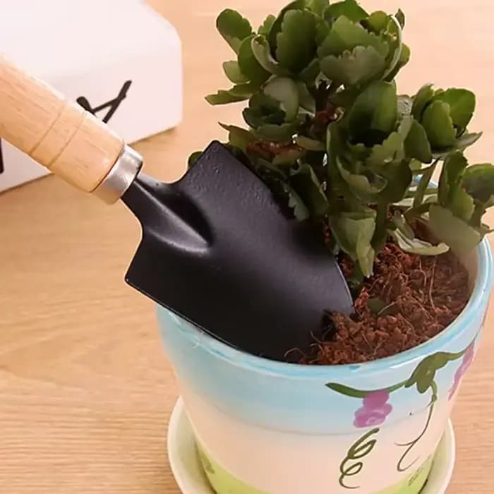 3 pièces/ensemble Mini ensemble d'outils de jardin pour plantes