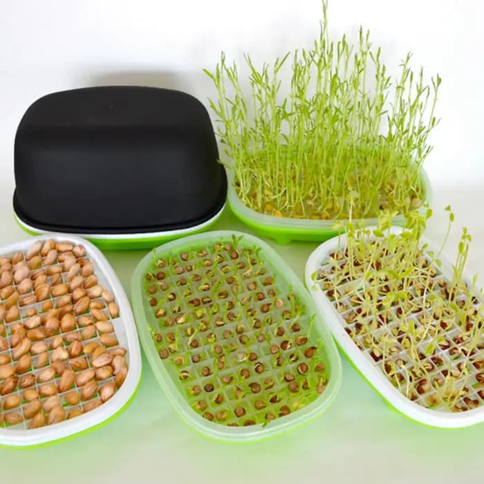 Plateau de germination de graines, boîte de germination d'arachide hydroponique de jardin, poire, ha