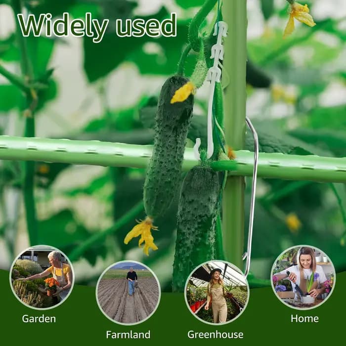 Boucles de connexion en treillis pour plantes, 50 pièces, Support de tuyau d'escalade, outil de fixa