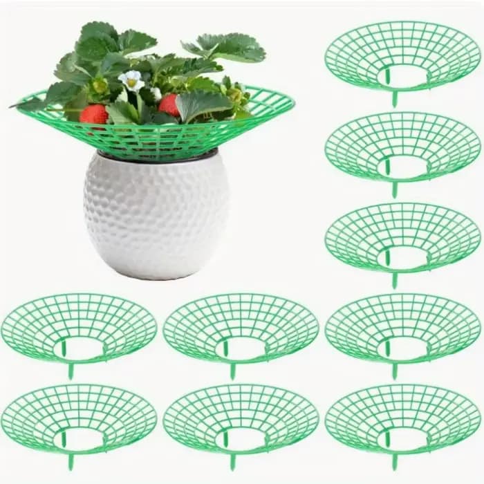 Supports pour plantes à fraises avec trois pieds robustes