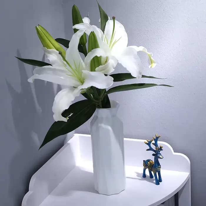 Vase en plastique pour décoration de fleurs séchées