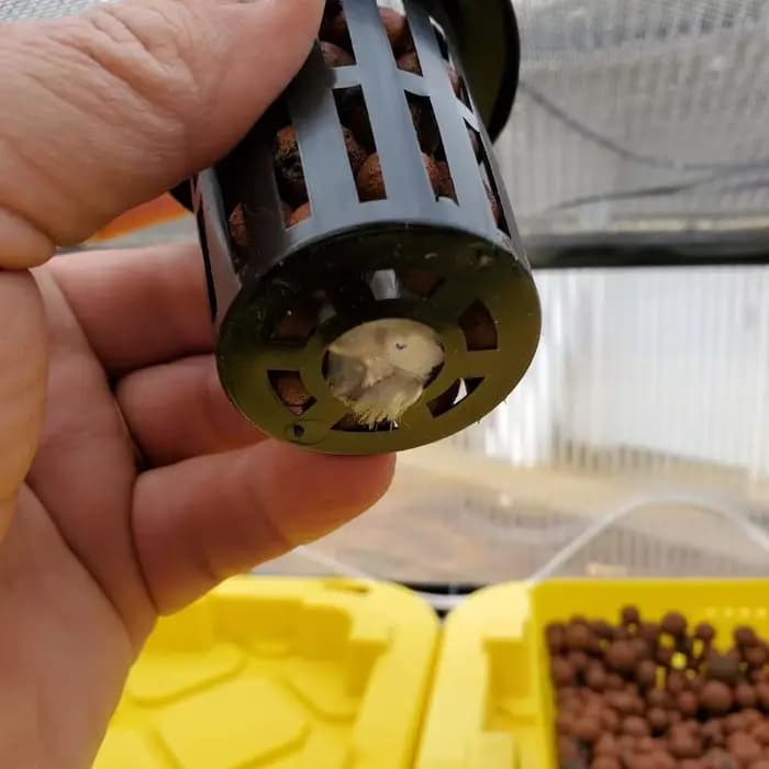 Mir pour plantes hydroponiques aquaponiques et orchidées