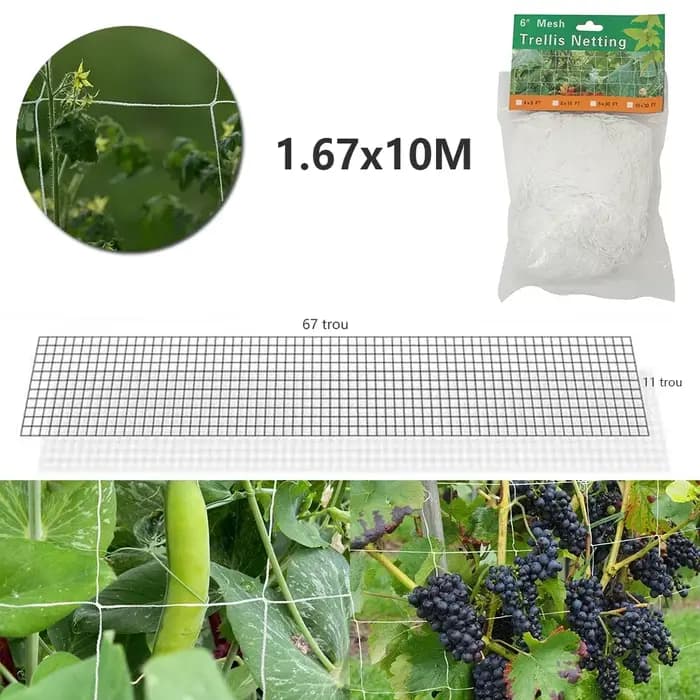 Filet d'escalade pour plantes de jardin, 10M, treillis en Polyester Durable, Support pour plantes de
