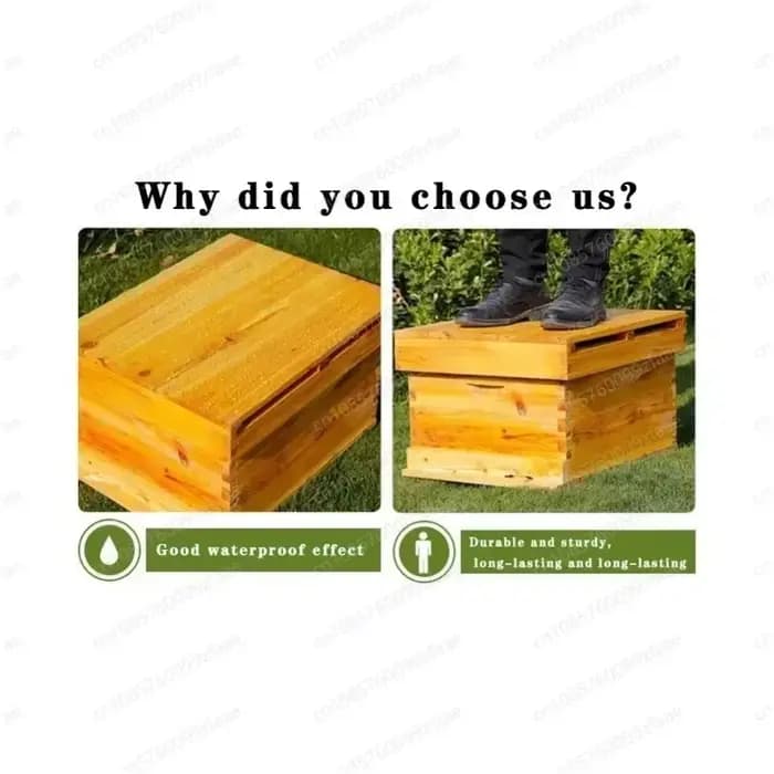Colives à sept cadres en sapin Traitement enduit de cire d'abeille Cadre standard en nid