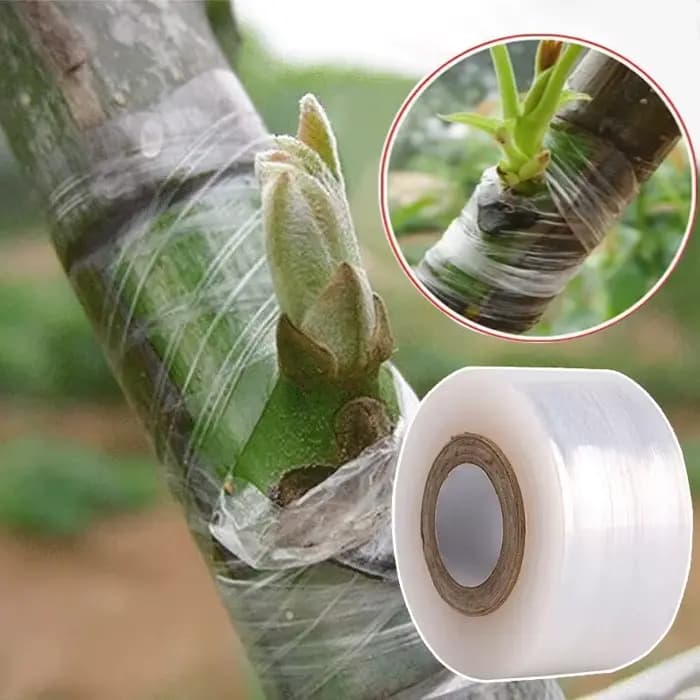 Ruban adhésif pour greffage de parafilm PE, accessoires auto-adhésifs pour arbres de jardin, plantes