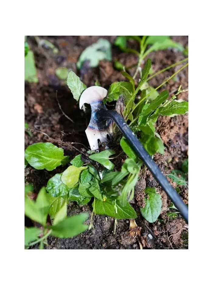 Désherbeur manuel multifonctionnel à 4 dents pour jardin