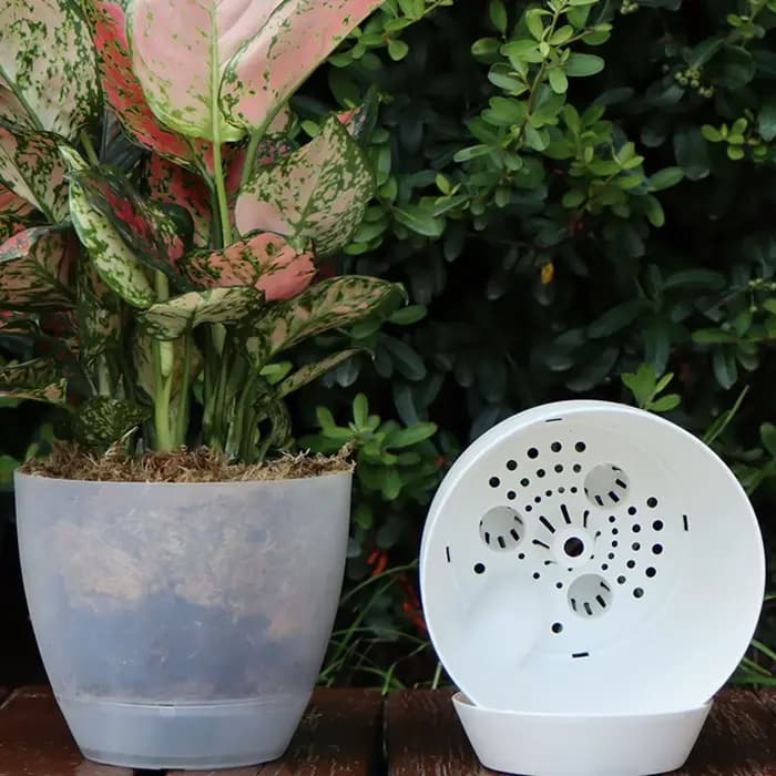 Pot de fleurs à auto-absorption pour bonsaï épicé, Pots de plantes de balcon, produits de décoration pour la maison, culture de croissance des plantes de grande capacité