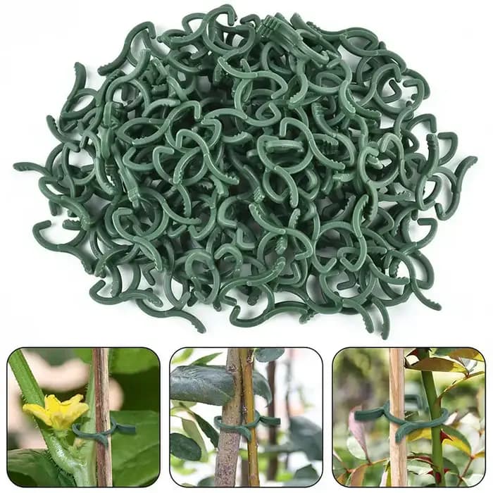 100/200 pièces Clips pour plantes