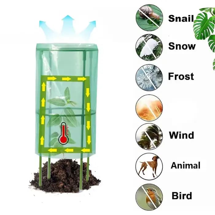 FLYY-couvercle de semis de plantes en plastique-pour jardin pour légumes fruits fleur cour Patio ser