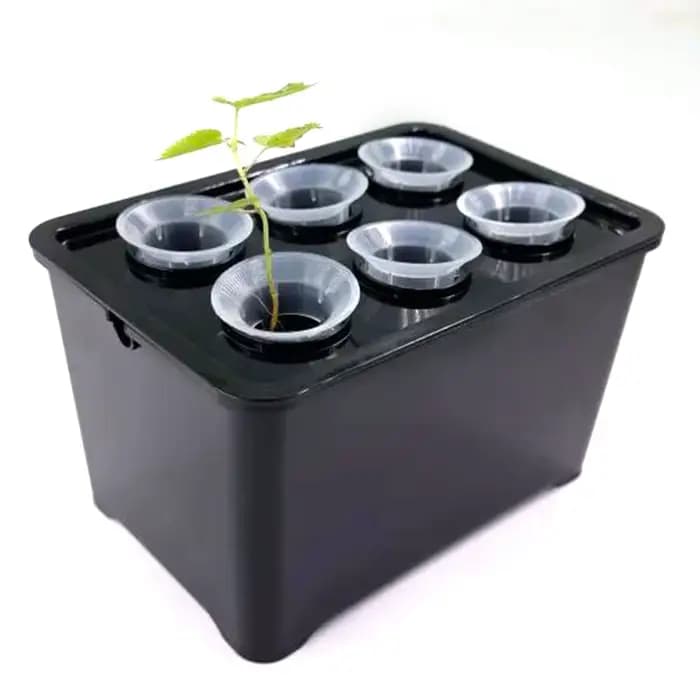 Système de culture hydroponique blanc/noir, boîte hydroponique, Pot de pépinière à 6 trous pour plan