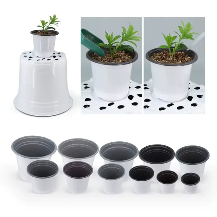 Pot de fleurs TCC blanc pour la culture, pot de plantes succulentes, coupe de semis de plantation si