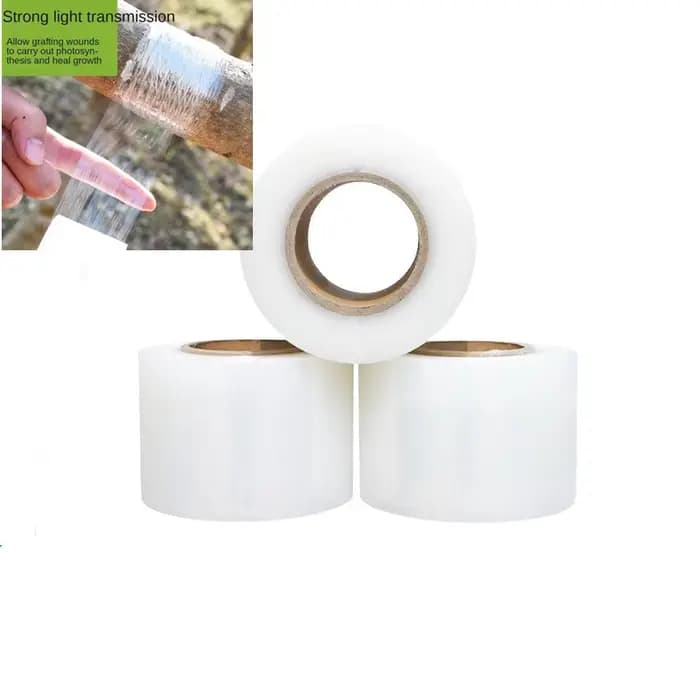 Rouleau de ruban adhésif extensible pour pépinière, auto-adhésif, nickel able, outils d'arbre blanc,