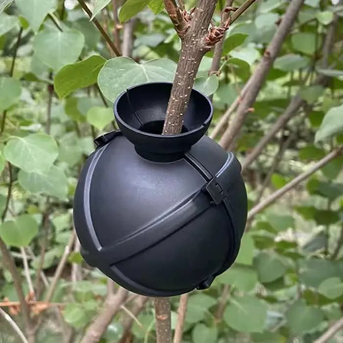 Boîte de greffage et de bouturage réutilisable pour plantes de jardin et verger