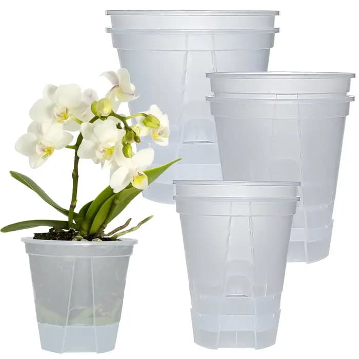 Pot de fleurs Transparent auto-arrosage avec réservoir