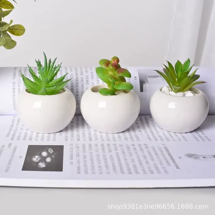 Petit pot rond en céramique pour plantes succulentes