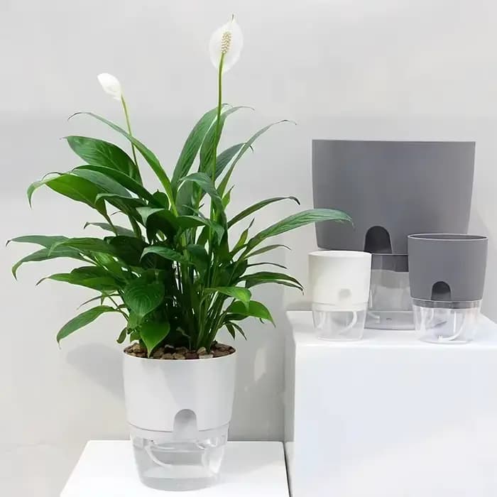 Pot de fleur en plastique Transparent Double couche, Pot de fleurs auto-arrosage, corde en coton, pe