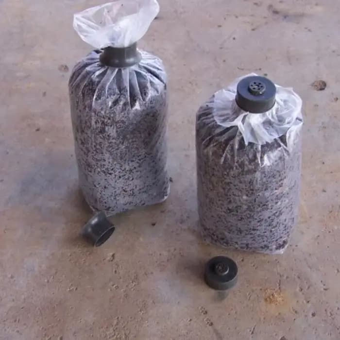 Sac de culture de champignons en PVC, pots de plantation de culture, planteur de culture d'anneaux,
