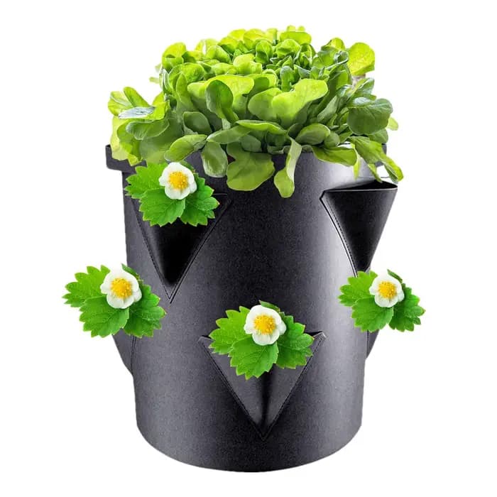 Pots et jardinières à fraises avec 6 poches latérales
