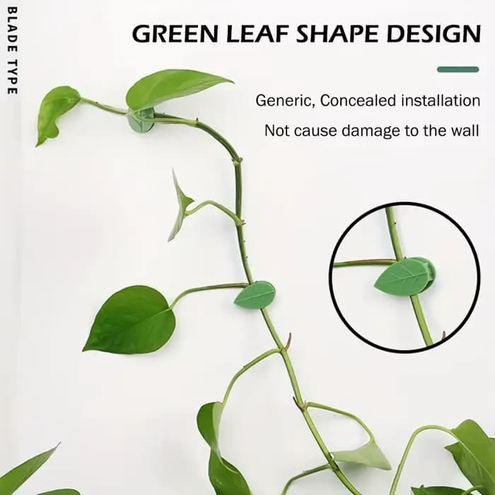 Clips de Fixation Murale Grimpante pour Plantes, Crochet Auto-Adhésif pour Plantes, Fiosphréinitiali